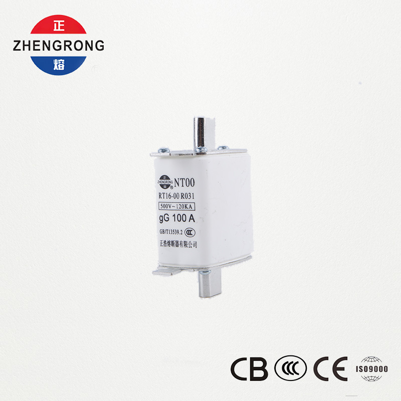 उच्च ब्रेकिङ क्षमता NT00 100A फ्यूज - 500V 120kA सिरेमिक gG फ्यूज लिङ्क