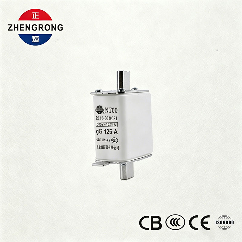 उच्च ब्रेकिङ क्षमता NT00 125A फ्यूज - 500V 120kA सिरेमिक gG फ्यूज लिङ्क