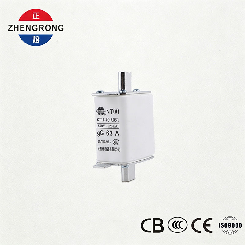 उच्च ब्रेकिङ क्षमता NT00 63A फ्यूज - 500V 120kA सिरेमिक gG फ्यूज लिङ्क