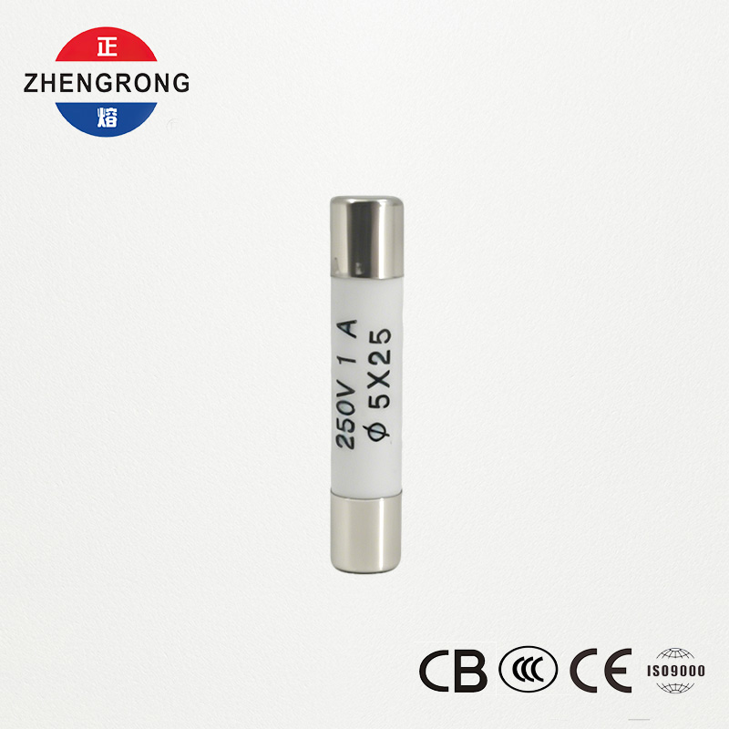 थोक खरीददारहरूको लागि उच्च गुणस्तर 5x25mm R055 1A फ्यूज